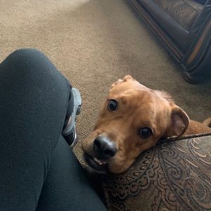 Meet your Posher, Diana